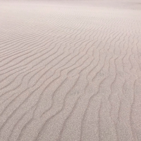 Meet your Posher, Teri - Picture 1 of 1